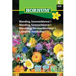 Hornum Blanding Sommerblomst 1