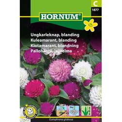 Hornum Ungkarleknap Blanding