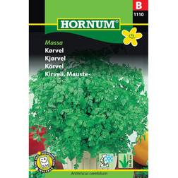 Hornum Kørvel Commun