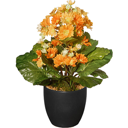 National Tree Company Primula Plant 12"