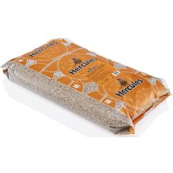 Hercules Sunflower Seeds