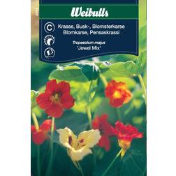 Weibulls Krasse Bland Busk Blomsterfrø
