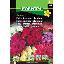 Hornum Floks Sommer Blanding