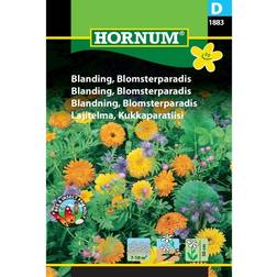 Hornum Blanding Blomsterparadis