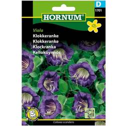 Hornum Klokkeranke Viola Blomsterfrø