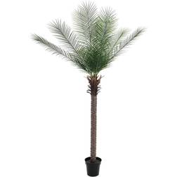 Europalms Kunstig Daddelpalme, deluxe, 220cm