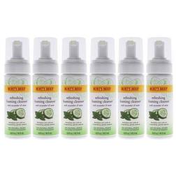 Burt's Bees Refreshing Foaming Cleanser Cucumber-mint Pack Of 6