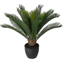 Newport Cycas Potteplante 70 cm
