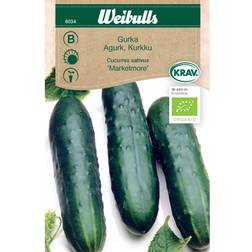 Weibulls Gurka Marketmore Grøntsagsfrø