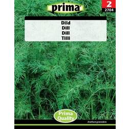 Prima Dildfrø