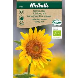 Weibulls Solsikke Spray Mix Blomsterfrø
