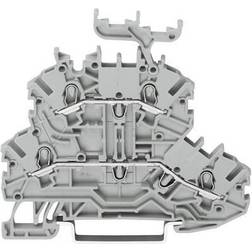 Wago 2000-2231, 3,5 mm, 69,7 mm, 61,8 mm, 500 V