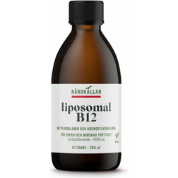 Närokällan Liposomal B12