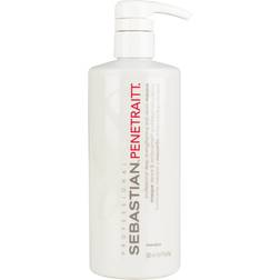 Sebastian Professional Penetraitt Masque