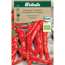 Weibulls Chili Cayenne Grøntsagsfrø