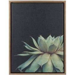 Kate and Laurel Succulent 8 Framed Art 45.7x61cm