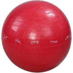 Avon 24" Exercise Gym Ball