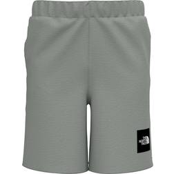 The North Face Never Stop Wearing Shorts - TNF Light Grey Heather