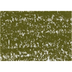 Caran d’Ache Neocolor II Aquarelle Water Soluble Wax Pastels olive brown