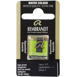 Rembrandt akvarelfarve half pan – Sap Green 623