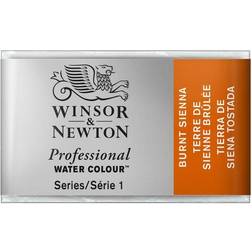 Winsor & Newton W&N akv 1/1 Burnt Sienna