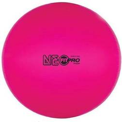 Champion Sports 42 cm Fitpro Training and Exercise Ball in