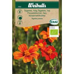 Weibulls Øko tagetes høj Blomsterfrø