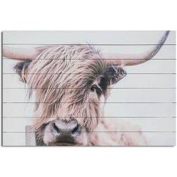 Gallery 57 Highland Cow Print Wall Decor 36x24"