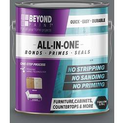 Beyond Paint Bp20 All-in-one Refinishing Paint, Pewter, 1 Gallon