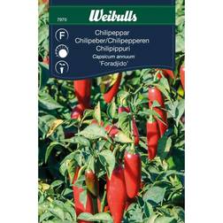 Weibulls Chili Foradjido Grøntsagsfrø