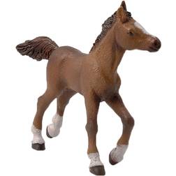 Papo 51076 Horse and Ponies Anglo-Arab Foal Toy Figure, Three Years or Ab