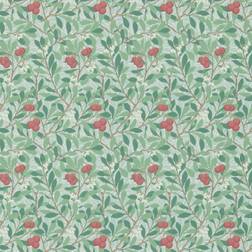 Morris Arbutus 214719