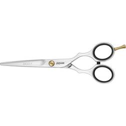 Jaguar Pre-Style Ergo Polished Scissor Silver 6in Salons Direct