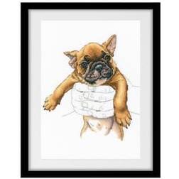 RTO Stickpackung Bild Kleiner Hund