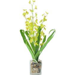 Northlight 23.5" Dancing Lady Orchid Silk Flower Artificial Potted Plant Artificial Plant