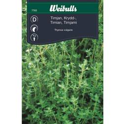 Weibulls Thyme Spice Krydderurtefrø