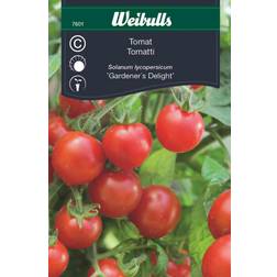 Weibulls Tomat, Gardener’s Delight Grøntsagsfrø