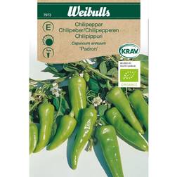 Weibulls Øko chili, Padron Grøntsagsfrø