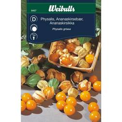 Weibulls Physalis Grisea Frugt- & Bærfrø