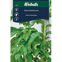 Weibulls Stevia Rebaudiana Grøntsagsfrø