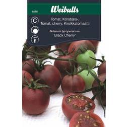 Weibulls Tomat Black Cherry