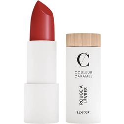 Couleur Caramel Matte Lipstick N°120 Dark Red