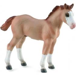 Collecta Quarter Foal Figure (Medium) (Red Dun)