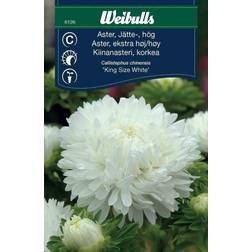 Weibulls Aster King Size White