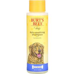 Burt's Bees Itch Soothing Shampoo with Honeysuckle