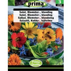 Prima Salat Blomster Blanding