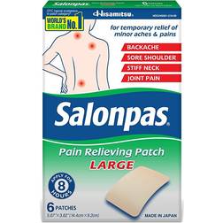 Pain Relieving Large 6 Patch 6 pcs