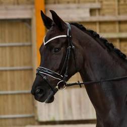 Horze Grayson Classic Dressage Ergonomic Bridle