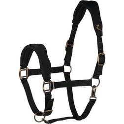 Graz Halter