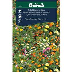 Weibulls Rabattblommor Blomsterfrø